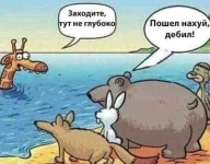 FB_IMG_1542296007317.webp