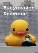 гифки-утки-большие-гифки-3172218.webp