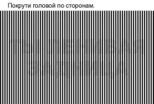 FB_IMG_1542951483286.webp