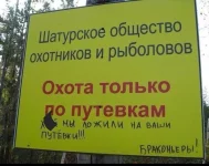 ocholwilivA.webp