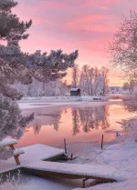 FB_IMG_1545214730444.webp