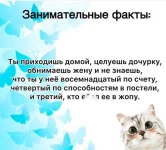 ллоло.webp