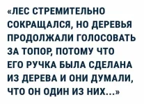 DgcrHW5AVyg.webp