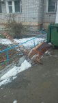 IMG-20181225-WA0001.jpg