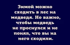 FB_IMG_1545901009872.webp