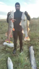 IMG-20180929-WA0007.webp