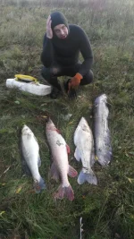 IMG-20180929-WA0006.webp