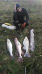 IMG-20180929-WA0006.jpg