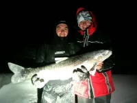 IMG-20170121-WA0005.webp