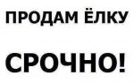 IMG-20190101-WA0004.jpg