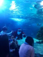 IMG-20190104-WA0006.webp