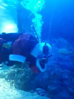 IMG-20190104-WA0012.webp