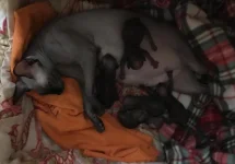 IMG-20190113-WA0008.webp