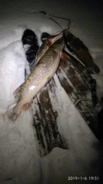 IMG-20190106-WA0006.webp
