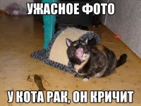 9044040.webp