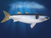 IMG-20190130-WA0012.webp