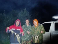 IMG-20190203-WA0000.webp