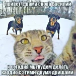 FB_IMG_1549479791261.webp