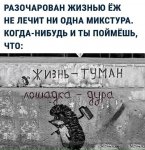 FB_IMG_1549599578117.jpg