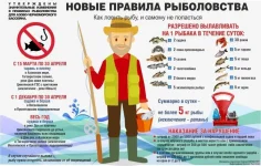 9e4ecd2c68ef.webp