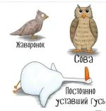 FB_IMG_1551431625282.webp