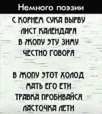 FB_IMG_1551530628635.webp