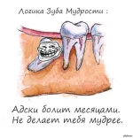 MAgKOtuynNU.webp