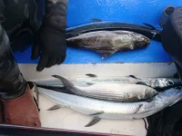 IMG-20190309-WA0015.webp