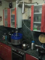 колоа.webp
