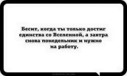 FB_IMG_1553496006666.webp