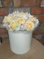 IMG-20190404-WA0001.webp