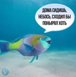 FB_IMG_1554378394739.webp