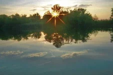 746a2ea9d5cf710f182e0ce1cc447174.webp