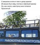 hKlfHKsgks8.jpg