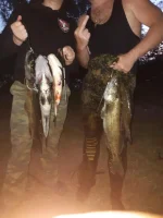 20190612_031109.webp