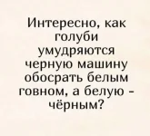 FB_IMG_1560532348980.webp