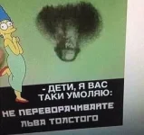 13194529.webp