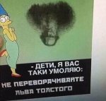 13194529.jpg