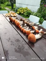 IMG-20190711-WA0002.webp