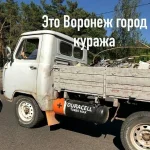 i (1).webp