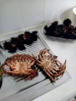 IMG-20190702-WA0008.webp