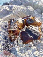 IMG-20190702-WA0023.webp