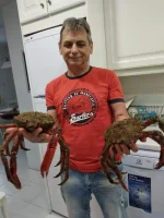 IMG-20190702-WA0047.webp