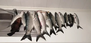 IMG-20190704-WA0026.webp