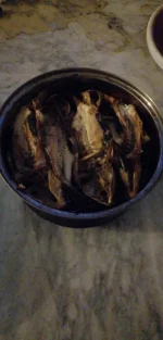 IMG-20190708-WA0009.webp