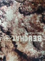 IMG-20190610-WA0005.webp