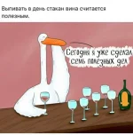 13470024.webp