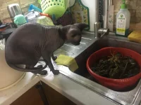 IMG-20191005-WA0003.webp