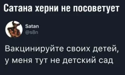 13516218.webp