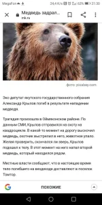 Screenshot_20191005-213021.webp
